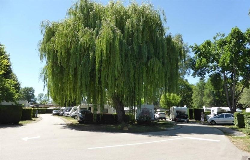 Camping Du Paquier Fane ชานญี ภายนอก รูปภาพ